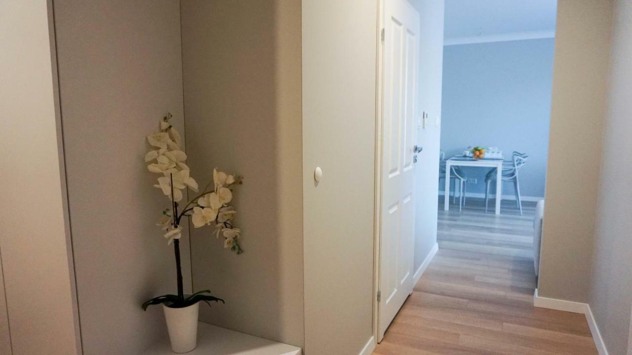 Apartament Olimp 고르주프비엘코폴스키 외부 사진